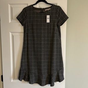 Ann Taylor Loft Short Sleeve Shift dress with ruffle hem